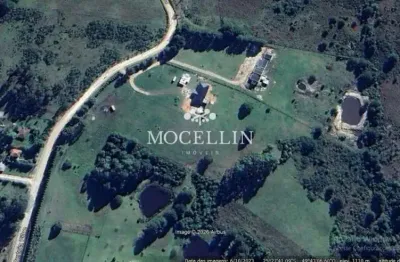 Terreno à venda na Da Laje, 11, São Luiz do Purunã, Balsa Nova por R$ 1.500.000