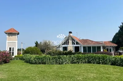 Chácara / sítio com 4 quartos para alugar na da Laje, 1, Centro, Balsa Nova por R$ 15.000