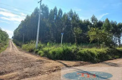 Fazenda à venda na Estrada Do Macaco Branco, Rincão do Cascalho, Portão