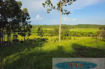 Chácara / sítio à venda na Estrada Capela Paquete, Zona Rural, Portão