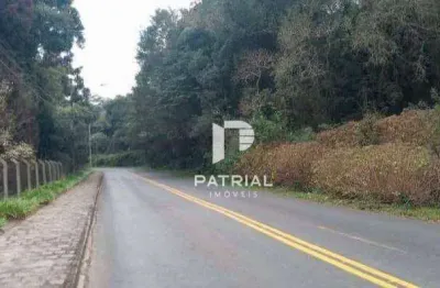 Terreno à venda na Rua Mato Grosso, 2650, Ferraria, Campo Largo