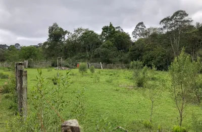 Chácara / sítio com 5 quartos à venda no Campo Largo da Roseira, São José dos Pinhais 