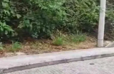 Terreno à venda, 360 m² por r$ 340.000,00 - piratininga - niterói/rj