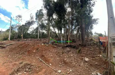 Terreno à venda na Estrada Vicinal Tancredo Neves Feital, 1, Campo Verde, Ibiúna
