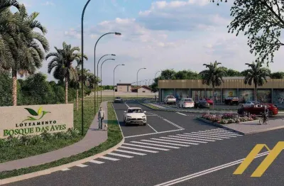 Terreno à venda, 360 m² por r$ 169.200,00 - figueira - gaspar/sc