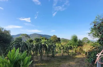 Chácara / sítio com 2 quartos à venda na Pedra de Amolar, Ilhota 