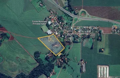 Área rural, área total de 60.000m ,  dois irmãos, toledo - pr