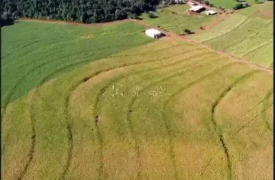 Fazenda à venda na Zona Rural, São Pedro do Iguaçu 