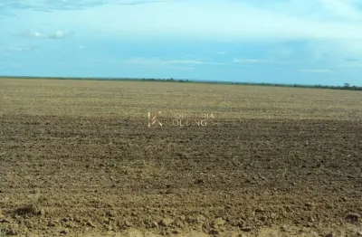 Fazenda à venda na região de balsas, com  250 hectares loreto - ma