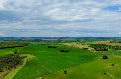 Fazenda de 9.5 alqueres na região de piracanjuba a 15km da cidade