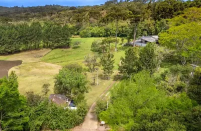 Chácara / sítio à venda na Rodovia BR-277, 0000, Borda do Campo, São José dos Pinhais