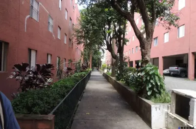 Apartamento à venda no bairro cocaia - guarulhos/sp