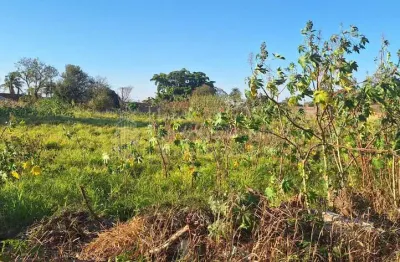 Área de 10.000 m2, à venda, giocondo orsi ii, campo grande - ms