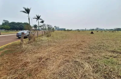 Terreno à venda na Rua Mato Grosso, Centro, Sidrolândia