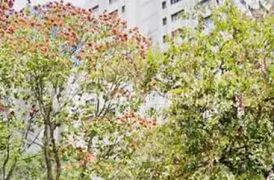 Apartamento com 4 quartos à venda na avenida princesa d'oeste, 1295, jardim proença, campinas, 156 m2 por r$ 870.000