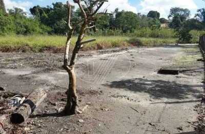 Terreno comercial à venda na olyntho de barros, s/n°, barão geraldo, campinas por r$ 580.000