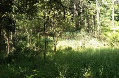 Terreno comercial à venda na rua theodosio rodriguez otero, s/n°, joaquim egídio, campinas por r$ 530.000