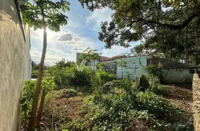 Terreno comercial à venda na rua ângelo vicentim, 404, barão geraldo, campinas por r$ 470.000