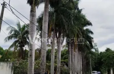 Chácara / sítio com 4 quartos à venda na olyntho de barros, 615, residencial burato, campinas, 474 m2 por r$ 1.980.000