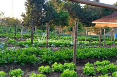 Terreno à venda na antônio carlos micoli, 365, village campinas, campinas por r$ 495.000