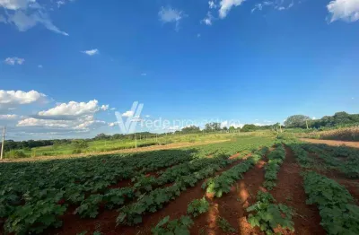 Terreno comercial à venda na armando botasso, s/nº, betel, paulínia por r$ 10.600.000