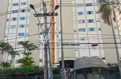 Apartamento com 3 quartos para alugar no jardim proença, campinas , 85 m2 por r$ 3.500