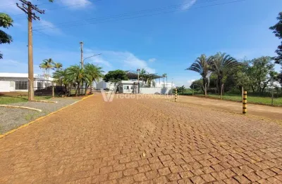 Barracão / galpão / depósito para alugar na rua maria estefno maluf, 409, betel, paulínia, 2300 m2 por r$ 36.000