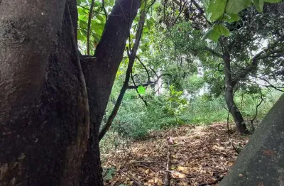 Terreno comercial à venda na Rua Caiçara, 95, Vila Pinto Coelho, Lagoa Santa