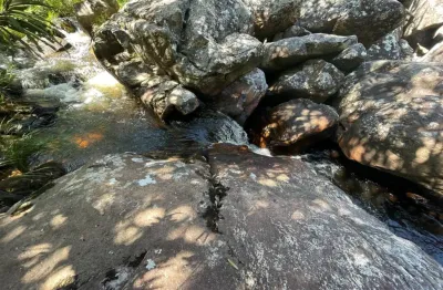 A&m imoveis vende exelente area rural na chapadado veadeiro