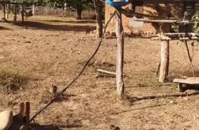 Fazenda à venda na Praça José Feliciano, Zona Rural, Cavalcante
