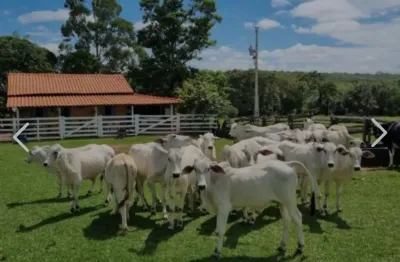 A&m imoveis vende exelente fazenda com 65 hectares muita agua