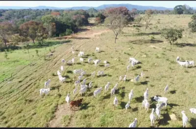 A&m imoveis vende exelente fazena com 162.5 hectares em buritis - mg