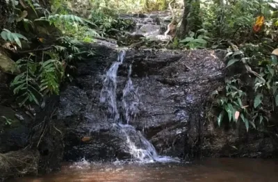 A&m imoveis vende exelente fazenda com 162.5 hectares em buritis mg