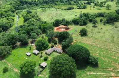 A&m imoveis vende exelente  fazenda com 573.36hectares  hectares