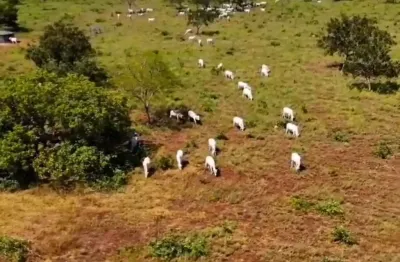 * a&m imoveis vende exelente fazenda em formosa com 295hectares