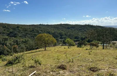 A&m imoveis vende exelente fazenda a 39km de luziânia - 64,67ha -
