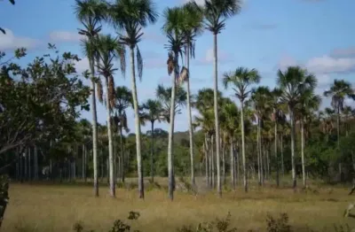 A&m imoveis vende exelente fazenda em minas gerais com 525hectares