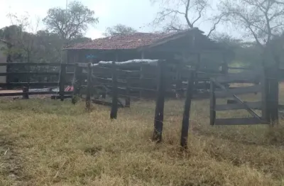 A&m imoveis vende belissima fazenda com 28alqueires a 48km de alvorada do norte