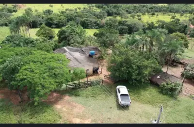 Fazenda à venda na Avenida Central, Zona Rural, Cabeceira Grande