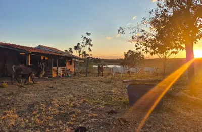 A&m imoveis vende fazenda com 91.8hectares em cabeceiras go
