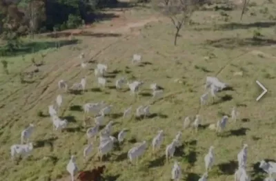Fazenda à venda na Rua Zaida Pinto Boaventura, Zona Rural, Água Fria de Goiás