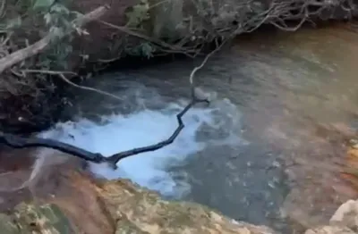 A&m imoveis vende exelente fazenda com 306hectares em agua fria -go