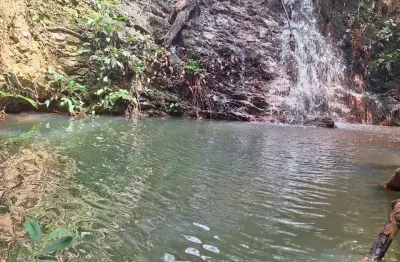 A&m imoveis vende exelente fazenda  com 119 hectares em em palmital  mg