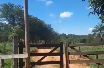 A&m imoveis vende fazenda com 37.5hectares em paracatu mg