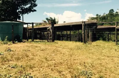 A&m imoveis vende exelente fazenda com 100hectares escriturada e registrada na fercal com 20 alqueires