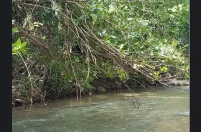 Fazenda à venda na Rua José de Alencar, Zona Rural, Buritis