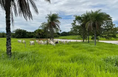 A&m imoveis vende exelente fazenda com 60 hectares  terra de cultura