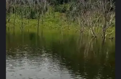 Fazenda à venda na Avenida Afonso Pena, Zona Rural, Niquelândia
