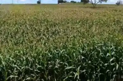 A&m imoveis vende fazenda 49hectares em garapuava  mg propria lavoura e cafe