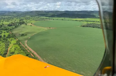 A&m imoveis vende exelente fazenda com 200hectares produtiva em joao pinheiro mg